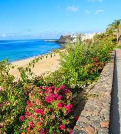 富埃特文图拉岛（Fuerteventura）