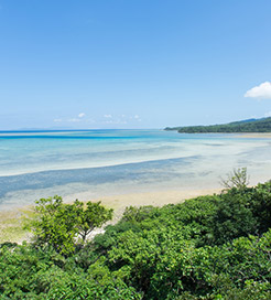 西表岛（Iriomote Island）