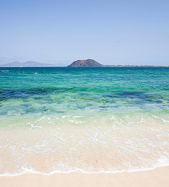 洛沃斯岛（Lobos Island）