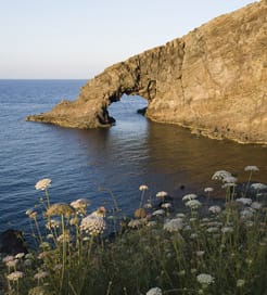 潘泰莱里亚岛（Pantelleria Island）
