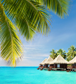 塔希提岛（Tahiti）