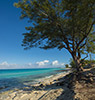 比米尼群岛（Bimini Islands）