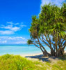 吉利群岛（Gili Islands）