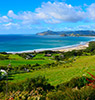 大屏障岛（Great Barrier Island）