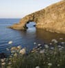 潘泰莱里亚岛（Pantelleria Island）