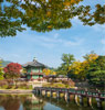 韩国（South Korea）
