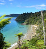 斯图尔特岛（Stewart Island）