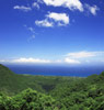 屋久岛（Yakushima）