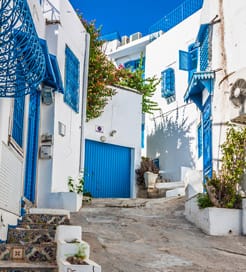 突尼西亚（Tunisia）