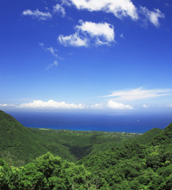 屋久岛（Yakushima）